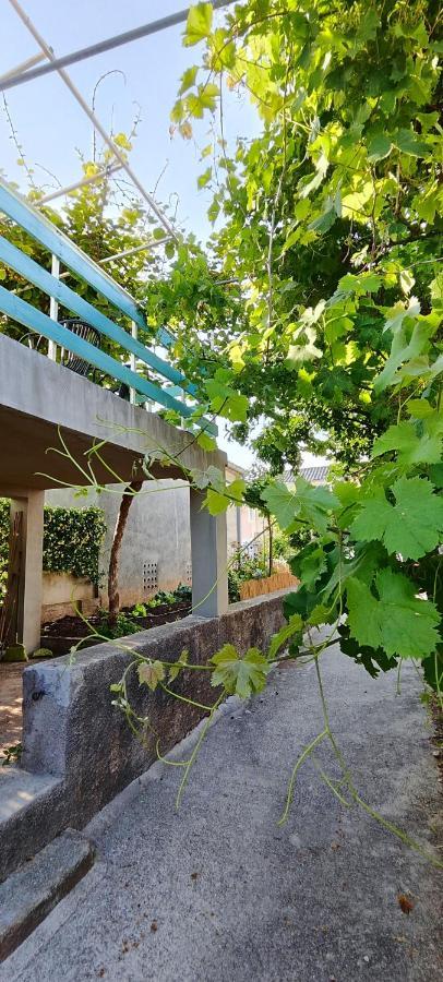 Family House "Pansion Kvarner" Βίλα Punat Εξωτερικό φωτογραφία
