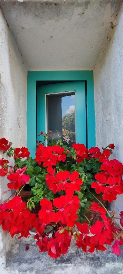Family House "Pansion Kvarner" Βίλα Punat Εξωτερικό φωτογραφία